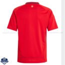 Wales Home Men Football Shirt 24/25 - Back View