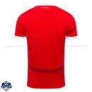 Austria Home Men Football Shirt 24/25 - Back View