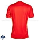 Juventus Goalkeeper Men Football Shirt 24/25 - Back View