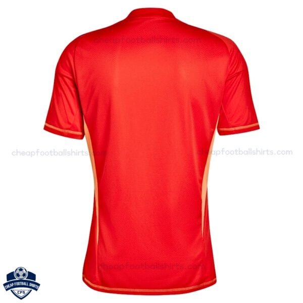 Juventus Goalkeeper Men Football Shirt 24/25 - Back View