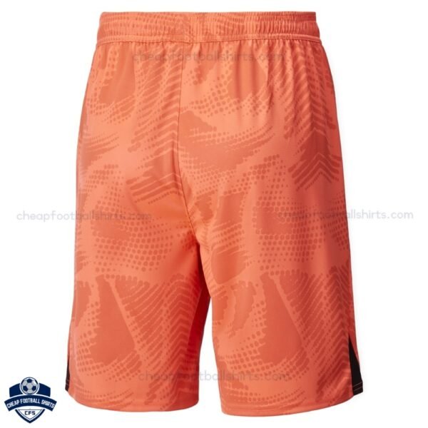 Manchester City Goalkeeper Kids Football Kit 24/25 - Back Shorts