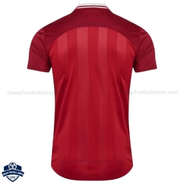 Denmark Home Men Football Shirt 25/26 - back view