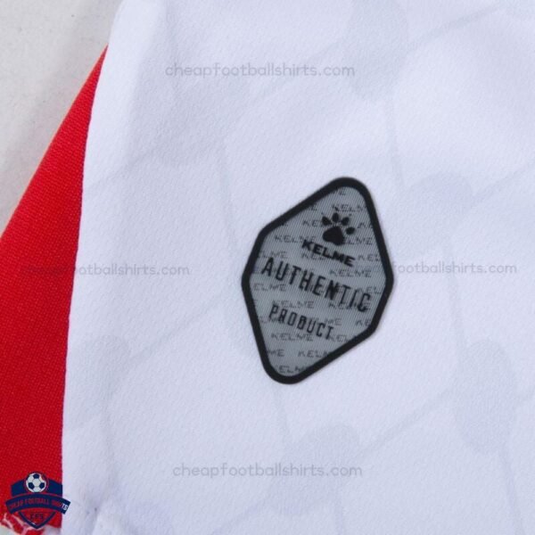 Palestine Home Men Football Shirt 24/25 - closeup1