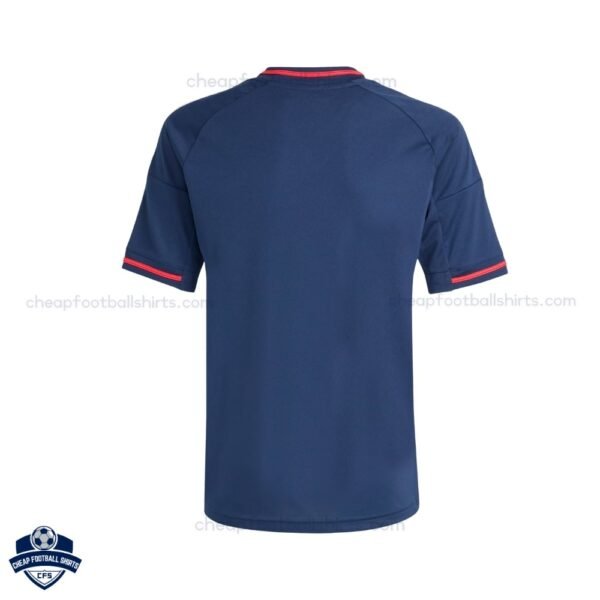 Olympique Lyonnais Away Cheap Football Shirts 2025/26 - Back View