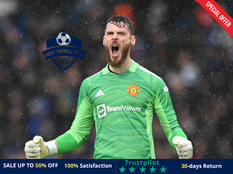 David de Gea Manchester United