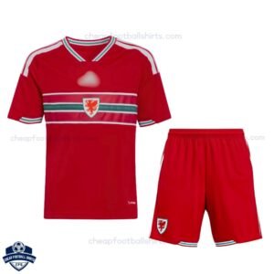Wales World Cup Home Men & Kids Cheap Football Kit 2026
