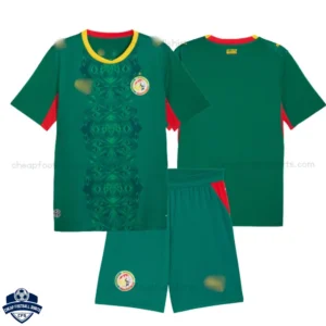 Senegal World Cup 2026 Away Kids Cheap Football Kit - Overview