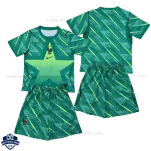 France World Cup 2026 Green Goalkeeper Kids Cheap Football Kit - overview