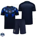 Uruguay World Cup 2026 Away for Men and Kids Cheap Football Kit - overview